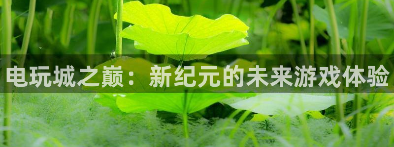 杏鑫平台总代理是谁：电玩城之巅：新纪元的未来游戏体验