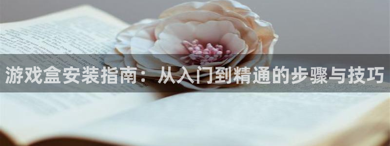 杏鑫平台总代理电话