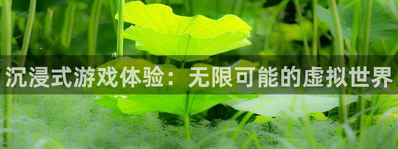 杏鑫有亏损返点吗