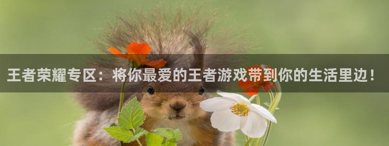 杏鑫代理登录中心官网