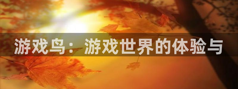 杏鑫官方app代理