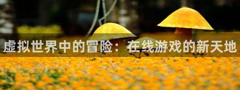 杏鑫代理注册登录