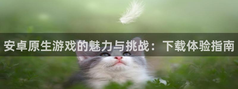 杏鑫注册平台官方网站下载：安卓原生游戏的魅力与挑战：下载体验