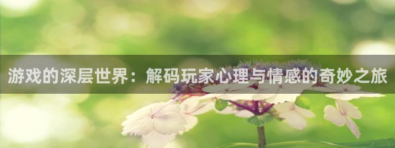 杏鑫平台总代理是谁：游戏的深层世界：解码玩家心理与情感的奇妙