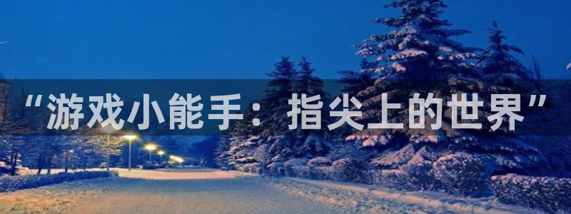 杏鑫代理注册登录不了