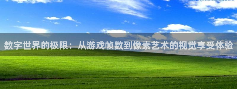 杏鑫咨询：数字世界的极限：从游戏帧数到像素艺术的视觉享受体验