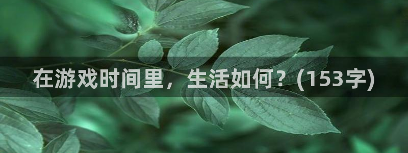 杏鑫有亏损返点吗