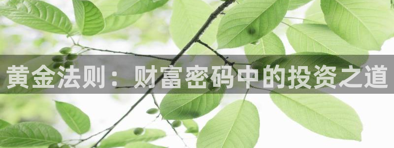 杏鑫注册：黄金法则：财富密码中的投资之道