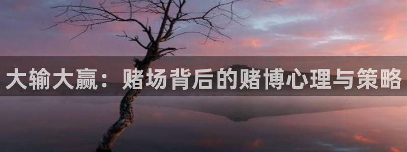 杏鑫注册登录代理：大输大赢：赌场背后的赌博心理与策略