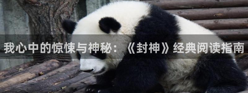 杏鑫登录测速：我心中的惊悚与神秘：《封神》经典阅读指南