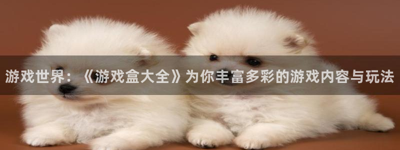 杏鑫主管：游戏世界：《游戏盒大全》为你丰富多彩的游戏内容与玩